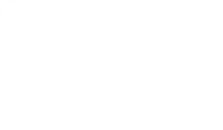 Abeille Camiceria 